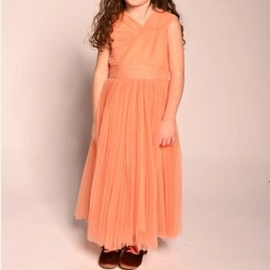 Tia Cibani- Criss Cross Pleated Dress